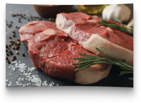 Quickfood SA - Marfrig Group